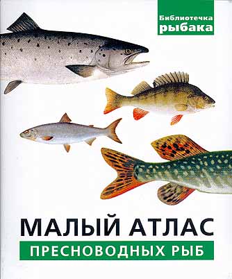 Рыбы Ленинградской области