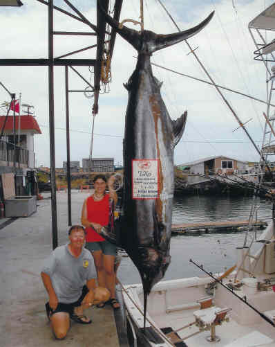 Тунец, Yellowfin Tuna, голубой марлин, Blue Marlin